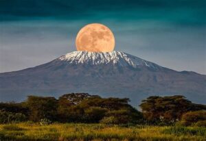 full moon at the back of snowy killimanjero mountain kenya side: kenya's big 5 game safari tour
