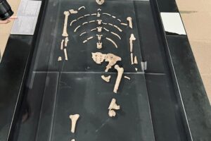 visit the oldest Lucy skeleton at Addis Ababa in 5 Hours